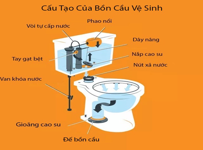 Cấu tạo bồn cầu bệt hiện nay tr&ecirc;n thị trường