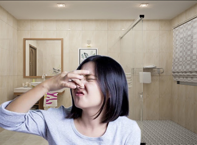 Nguyên nhân gây mùi hôi nhà vệ sau khoảng thời gian sử dụng