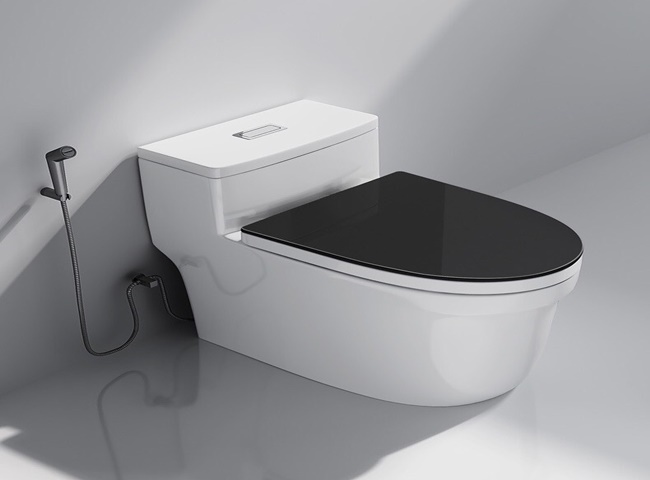 Ưu nhược điểm khi sử dụng bồn cầu bệt 