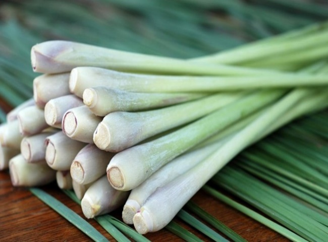 Khử m&ugrave;i toilet bằng sả cực hiệu quả cao