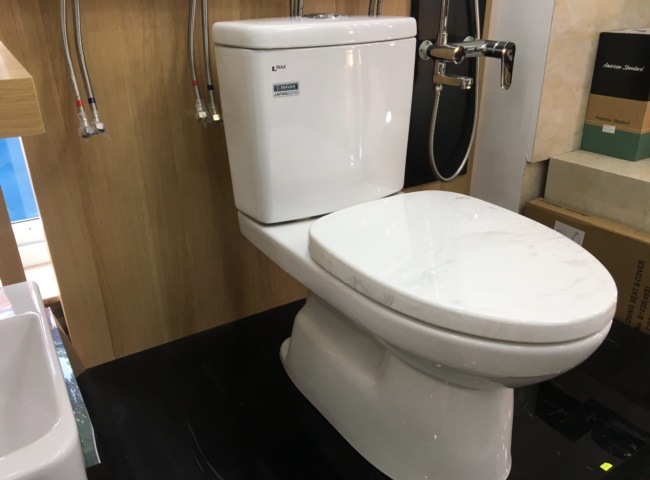 Không xử lý định kỳ gây ra bồn cầu cầu bị tắc